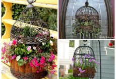 7 Unusual Uses For a Birdcage