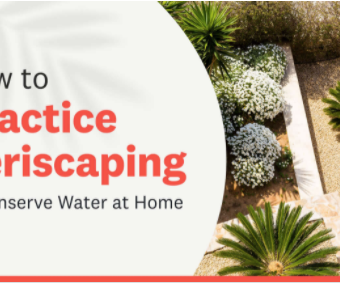 How to Practice Xeriscaping with a Rock Garden